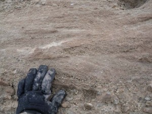 Cross-bedding in Dakota sandstone