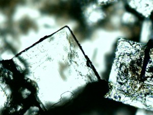 2013-01-22-salt