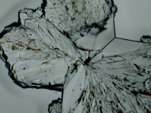 2013-01-22-sugar-4