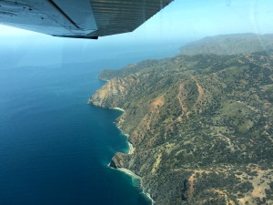 Catalina