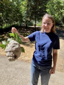 Me holding a wasp nest